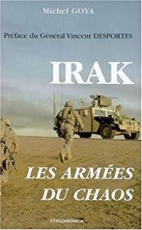 Michel Goya, Irak, Economica