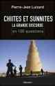 Pierre-Jean Luizard, Chiites et sunnites